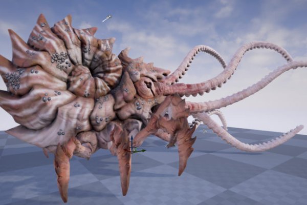 Kraken 17at