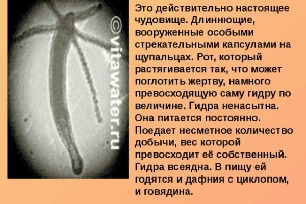 Кракен сайт закладок